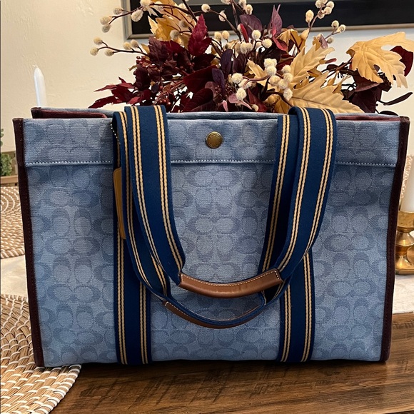 Coach Blue and Brown Women's Tote Bag - Picture 1 of 16